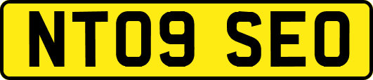 NT09SEO