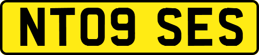 NT09SES