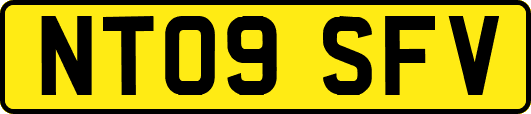 NT09SFV