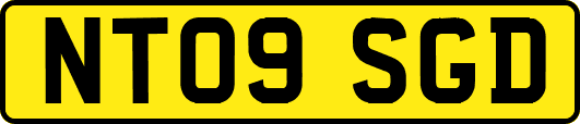 NT09SGD