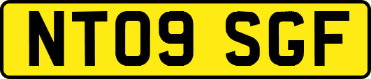 NT09SGF
