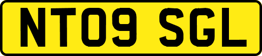 NT09SGL