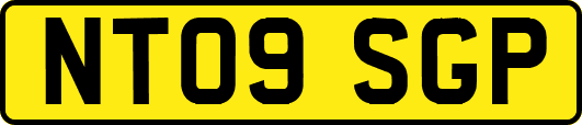 NT09SGP
