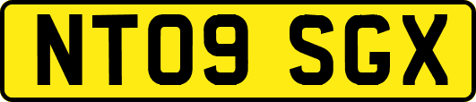 NT09SGX