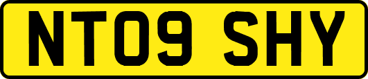 NT09SHY