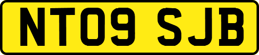 NT09SJB