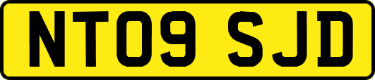 NT09SJD