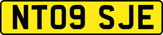 NT09SJE