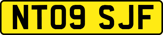 NT09SJF