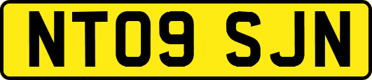 NT09SJN