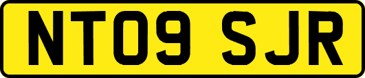 NT09SJR