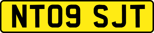 NT09SJT