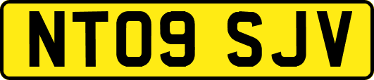 NT09SJV