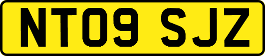 NT09SJZ