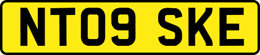 NT09SKE