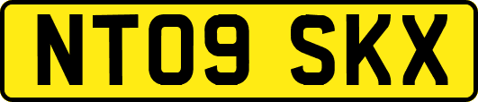 NT09SKX