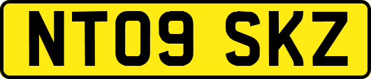 NT09SKZ