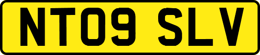 NT09SLV