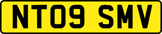 NT09SMV