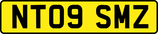 NT09SMZ