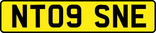 NT09SNE