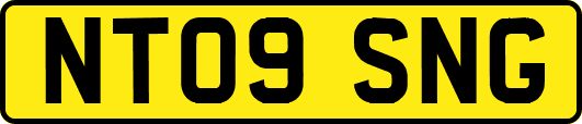 NT09SNG