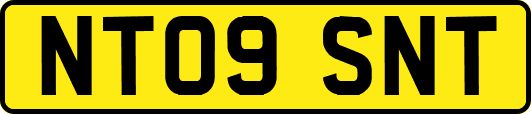 NT09SNT