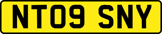 NT09SNY