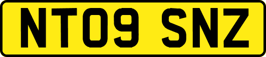 NT09SNZ