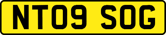 NT09SOG