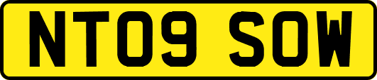 NT09SOW