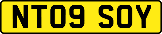 NT09SOY
