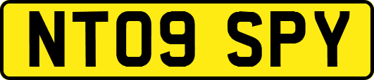 NT09SPY