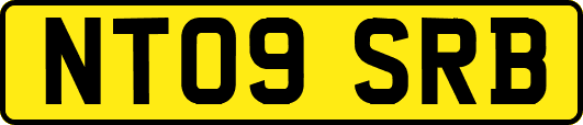 NT09SRB