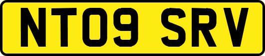 NT09SRV