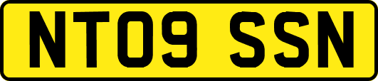 NT09SSN