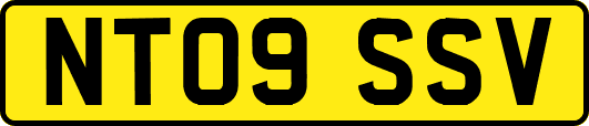 NT09SSV