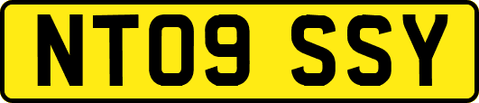 NT09SSY