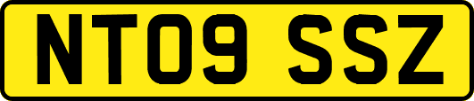NT09SSZ