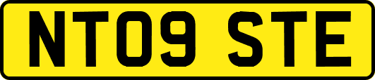 NT09STE