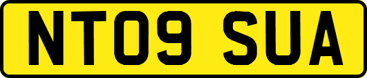 NT09SUA