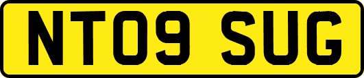 NT09SUG