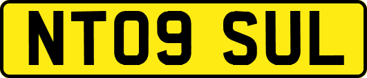 NT09SUL