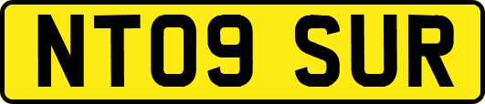 NT09SUR