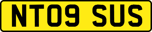 NT09SUS