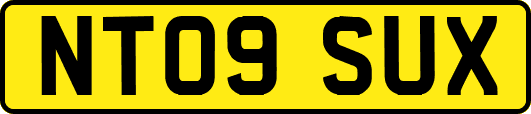 NT09SUX
