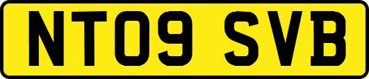 NT09SVB