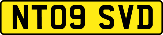 NT09SVD