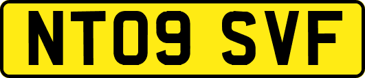 NT09SVF
