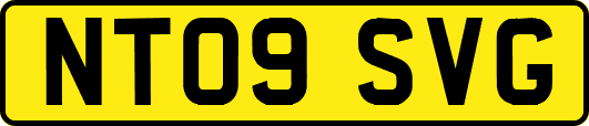 NT09SVG